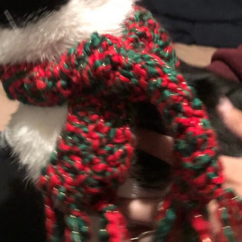 Christmas Cat Scarf Ready to Ship